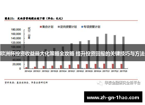 欧洲杯投资收益最大化策略全攻略 提升投资回报的关键技巧与方法