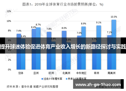 提升球迷体验促进体育产业收入增长的新路径探讨与实践
