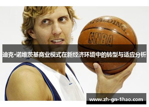 迪克·诺维茨基商业模式在新经济环境中的转型与适应分析 迪克·诺维茨基商业模式在新经济环境中的转型与适应分析
